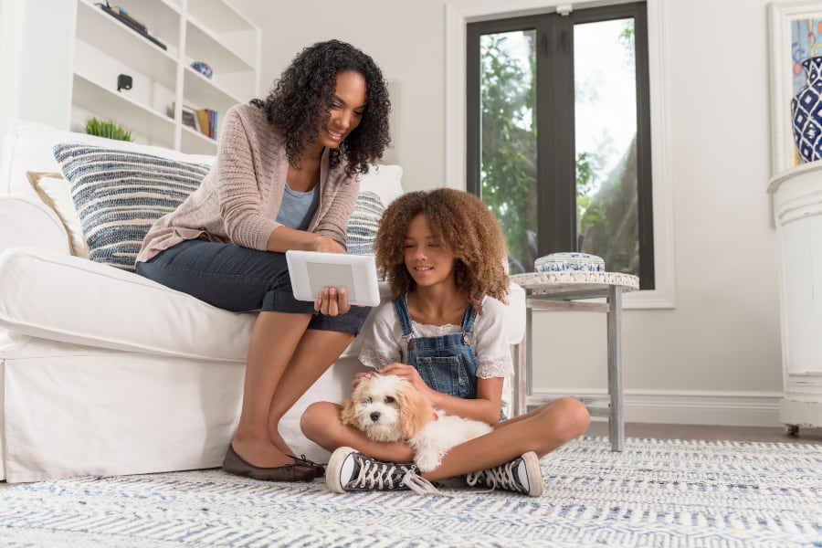 Technology Advancements in Colorado Springs Home Security Systems